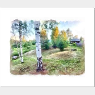 Summer landscape with birches. Posters and Art